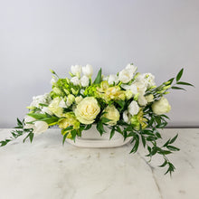 Load image into Gallery viewer, Designer's Choice GREEN & WHITE