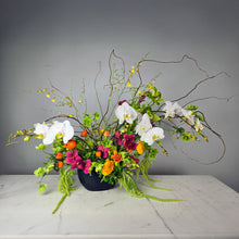 Load image into Gallery viewer, Designer's Choice CITRUS