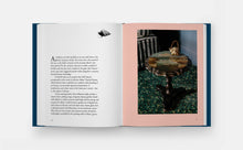 Load image into Gallery viewer, The New Antiquarians: At Home with Young Collectors