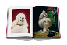 Load image into Gallery viewer, Chic Dogs