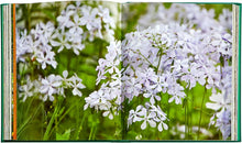 Load image into Gallery viewer, Graphic Image Bunny Williams Life in the Garden Leather Book