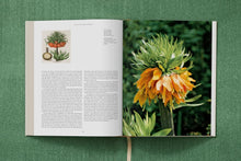 Load image into Gallery viewer, Basilius Besler The Garden at Eichstätt Set: Florilegum / Garden at Eichstatt