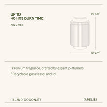 Load image into Gallery viewer, La Jolie Muse Amélie Candle Collection, 7 oz.