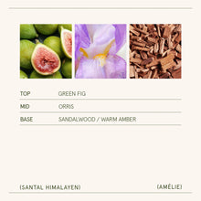 Load image into Gallery viewer, La Jolie Muse Amélie Candle Collection, 19 oz.
