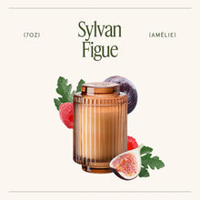 Load image into Gallery viewer, La Jolie Muse Amélie Candle Collection, 7 oz.