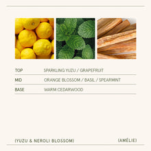 Load image into Gallery viewer, La Jolie Muse Amélie Candle Collection, 19 oz.