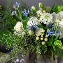 Load image into Gallery viewer, Designer's Choice GREEN & WHITE