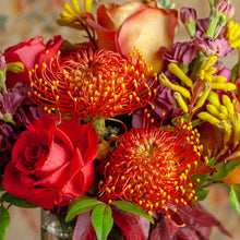 Load image into Gallery viewer, Designer's Choice CITRUS