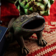 Load image into Gallery viewer, Cast Iron Frog