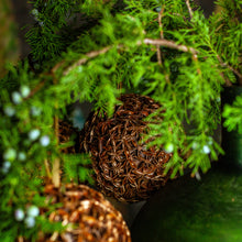 Load image into Gallery viewer, Gilded Star Anise Bulb Ornament, Set of 3