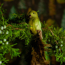 Load image into Gallery viewer, Green Tail Feather Bird Ornament