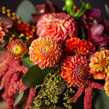 Load image into Gallery viewer, Designer's Choice CITRUS