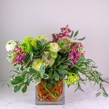 Load image into Gallery viewer, Designer's Choice PINK