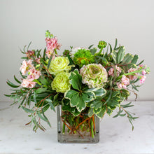 Load image into Gallery viewer, Designer's Choice PINK