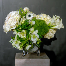 Load image into Gallery viewer, Designer's Choice GREEN & WHITE