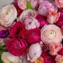 Load image into Gallery viewer, Designer's Choice PINK