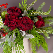 Load image into Gallery viewer, Designer's Choice RED