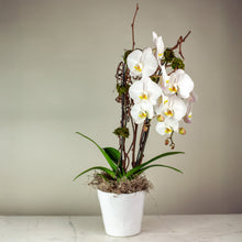 Load image into Gallery viewer, Stunning White Waterfall Orchids Deluxe