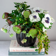 Load image into Gallery viewer, Designer's Choice GREEN & WHITE