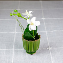 Load image into Gallery viewer, Green Freya Mini Ceramic Scalloped Pot with Faux Orchid