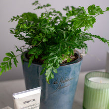 Load image into Gallery viewer, Plant Bundle Gift Set