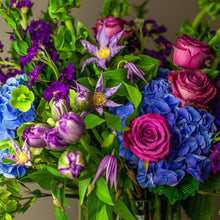 Load image into Gallery viewer, Designer's Choice BLUE-VIOLET