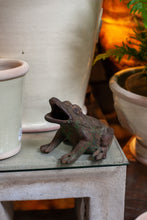 Load image into Gallery viewer, Cast Iron Frog
