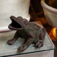 Load image into Gallery viewer, Cast Iron Frog