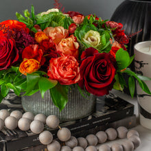 Load image into Gallery viewer, Designer's Choice RED