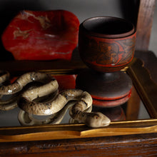 Load image into Gallery viewer, Polished Jasper