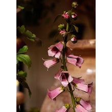Load image into Gallery viewer, Tommy Mitchell Foxglove Sculpture in Pot