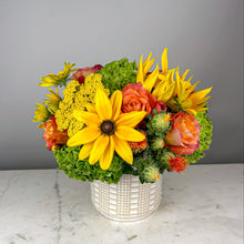 Load image into Gallery viewer, Designer's Choice CITRUS