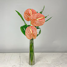 Load image into Gallery viewer, Designer's Choice CITRUS