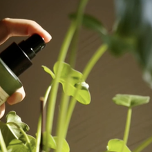 Load image into Gallery viewer, Sowvital House Plant Aqua Leaf Cleanser, 200ml