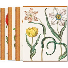 Load image into Gallery viewer, Basilius Besler The Garden at Eichstätt Set: Florilegum / Garden at Eichstatt