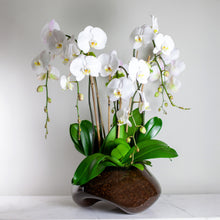 Load image into Gallery viewer, Grand Custom Floral Arrangement