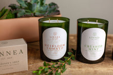 Load image into Gallery viewer, LINNEA Botanik Collection, 11 oz.