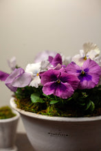 Load image into Gallery viewer, Wakefield Adley Pot