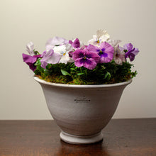 Load image into Gallery viewer, Wakefield Adley Pot