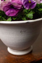 Load image into Gallery viewer, Wakefield Adley Pot
