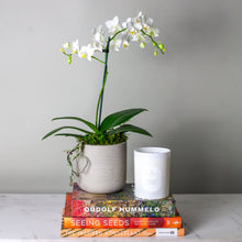 Load image into Gallery viewer, The Gardener Gift or Subscription