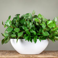 Load image into Gallery viewer, Dorant Boat matte white