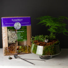 Load image into Gallery viewer, Terrarium Starter Kit