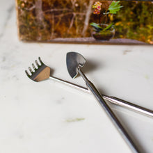 Load image into Gallery viewer, Terrarium Starter Kit