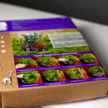 Load image into Gallery viewer, Terrarium Starter Kit