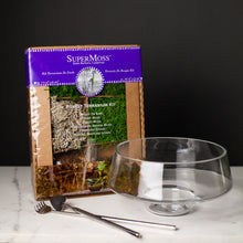 Load image into Gallery viewer, Terrarium Starter Kit