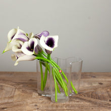 Load image into Gallery viewer, Iittala Aalto Vase 4.75" Clear