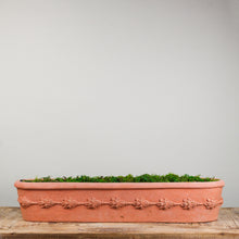 Load image into Gallery viewer, Cassetta da vanzall Stondata con Fruta