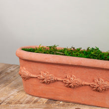 Load image into Gallery viewer, Cassetta da vanzall Stondata con Fruta