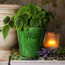 Load image into Gallery viewer, Mini Mazagran, Poterie de la Madeleine, assorted colors